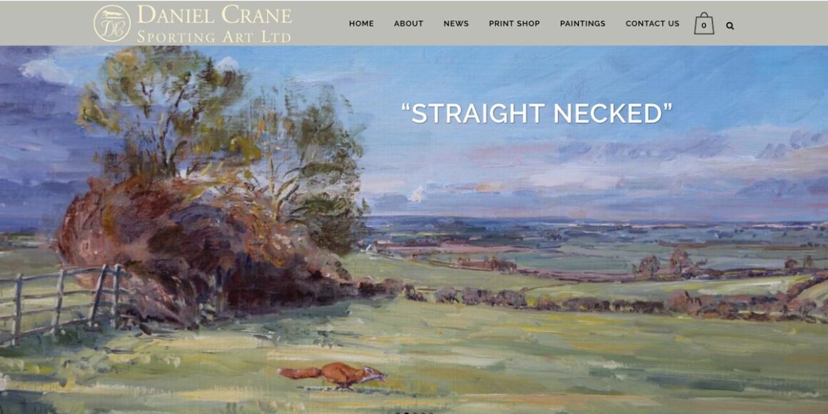 Daniel Crane web site by Nico Morgan Media